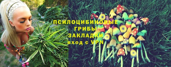 PSILOCYBIN Переславль-Залесский