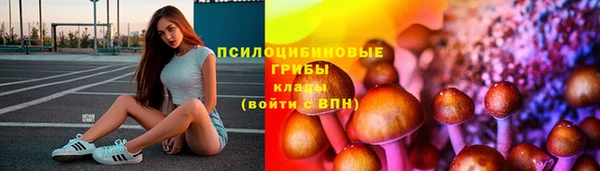 ГАЛЛЮЦИНОГЕННЫЕ ГРИБЫ Пестово