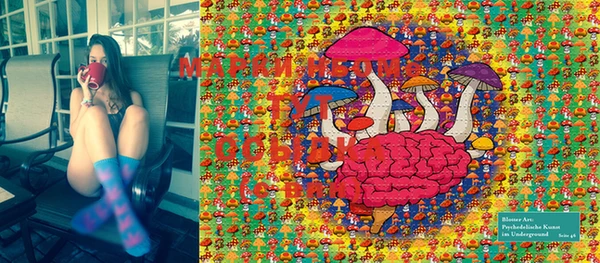 PSILOCYBIN Переславль-Залесский