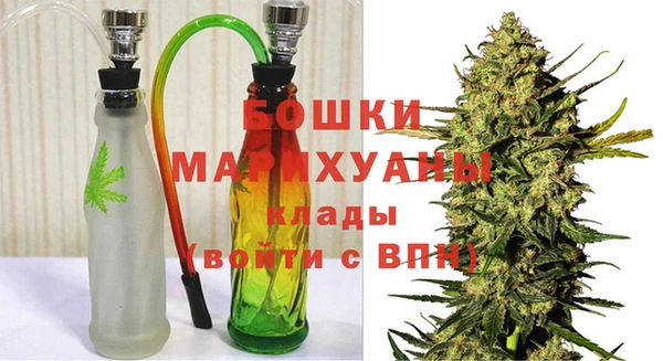 PSILOCYBIN Переславль-Залесский