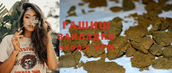 PSILOCYBIN Переславль-Залесский