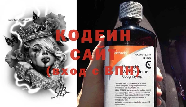 ГАЛЛЮЦИНОГЕННЫЕ ГРИБЫ Пестово
