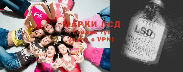 PSILOCYBIN Переславль-Залесский